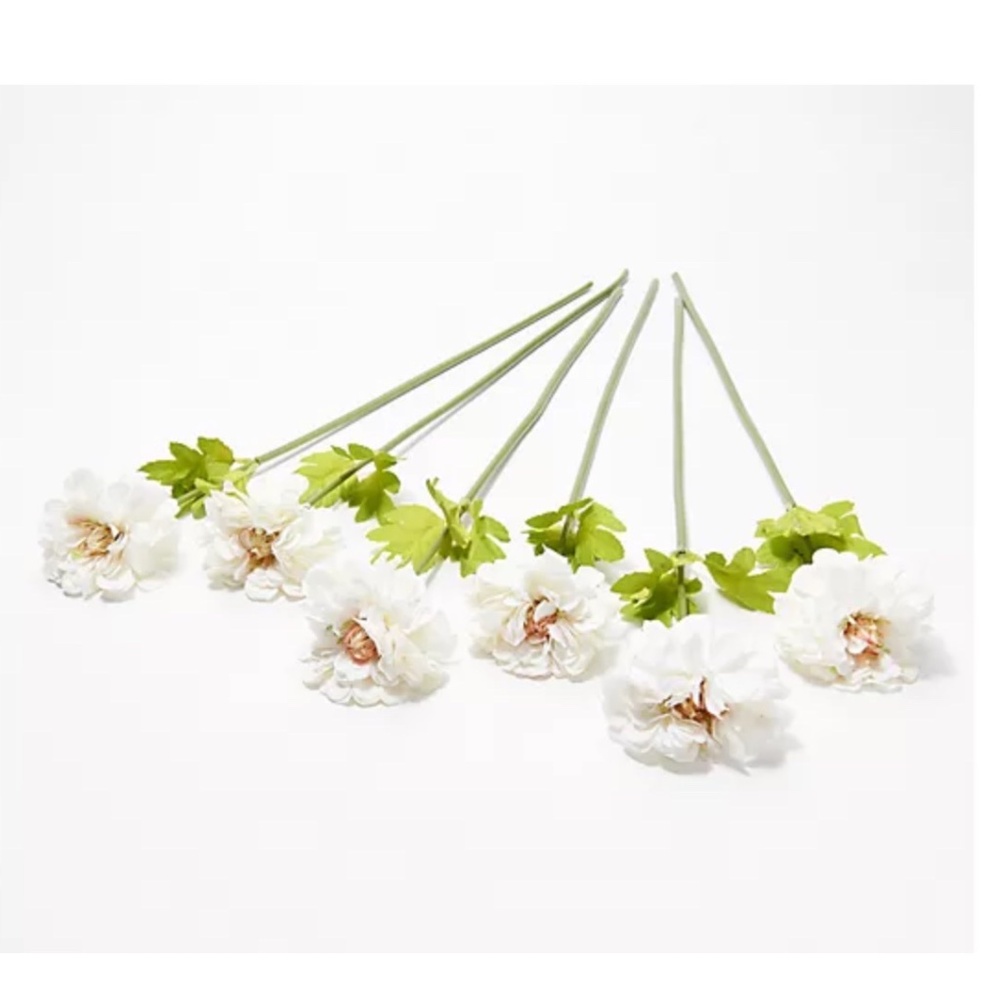 Barbara King Set of 6 Real Touch Zinnia Picks